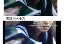 吃瓜娱乐圈最新语录图解,笑料百出，明星们“金句”连连